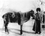 HORSEMAN