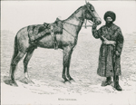 man on horseback